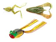 Frogs are also on the menu of our native...