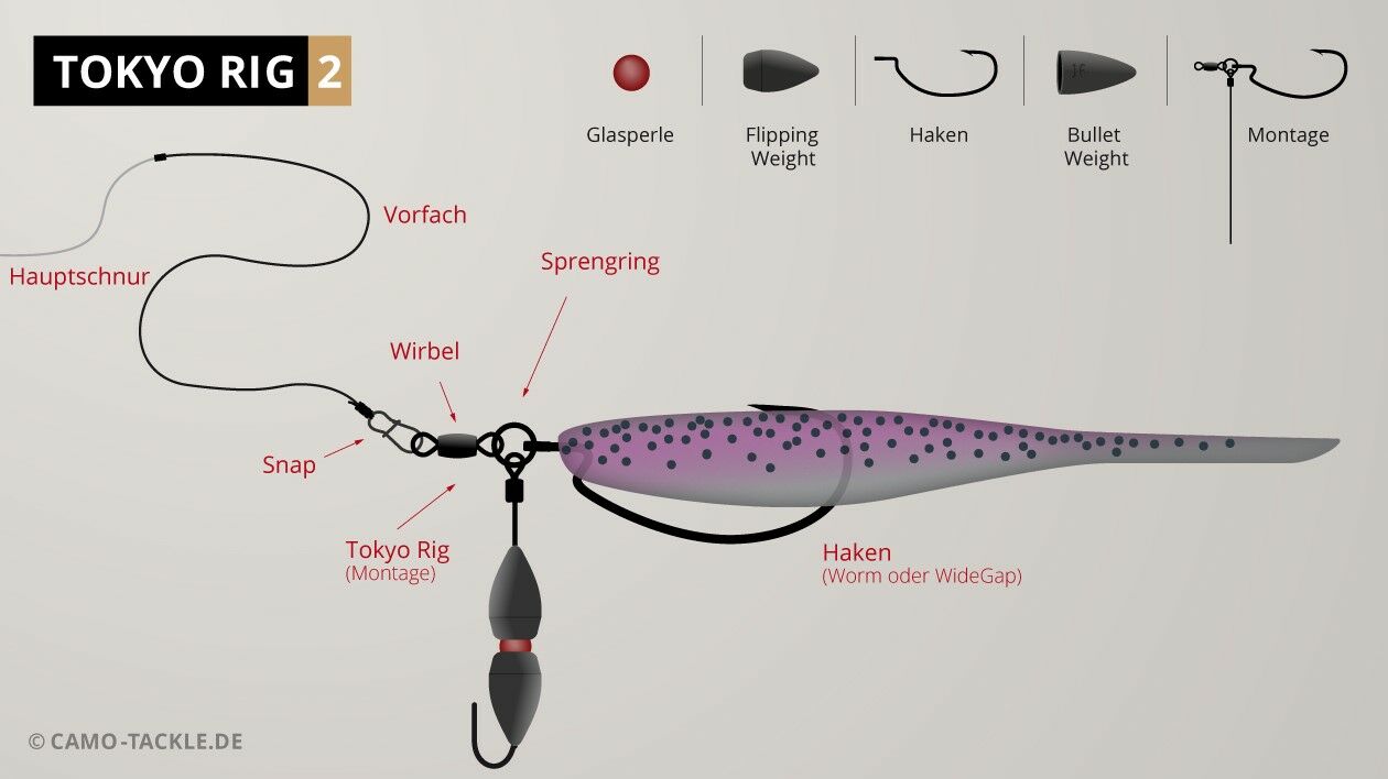 Tokyo Rig: Alles für die Angeltechnik aus Japan bei CAMO-Tackle