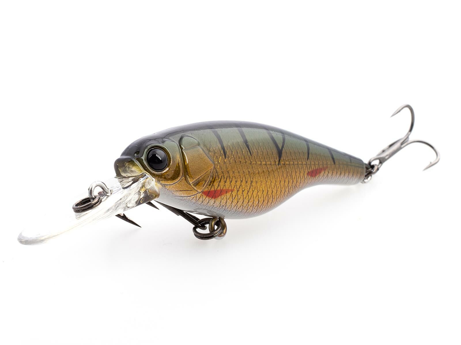 SX 60F (373) Olive Perch