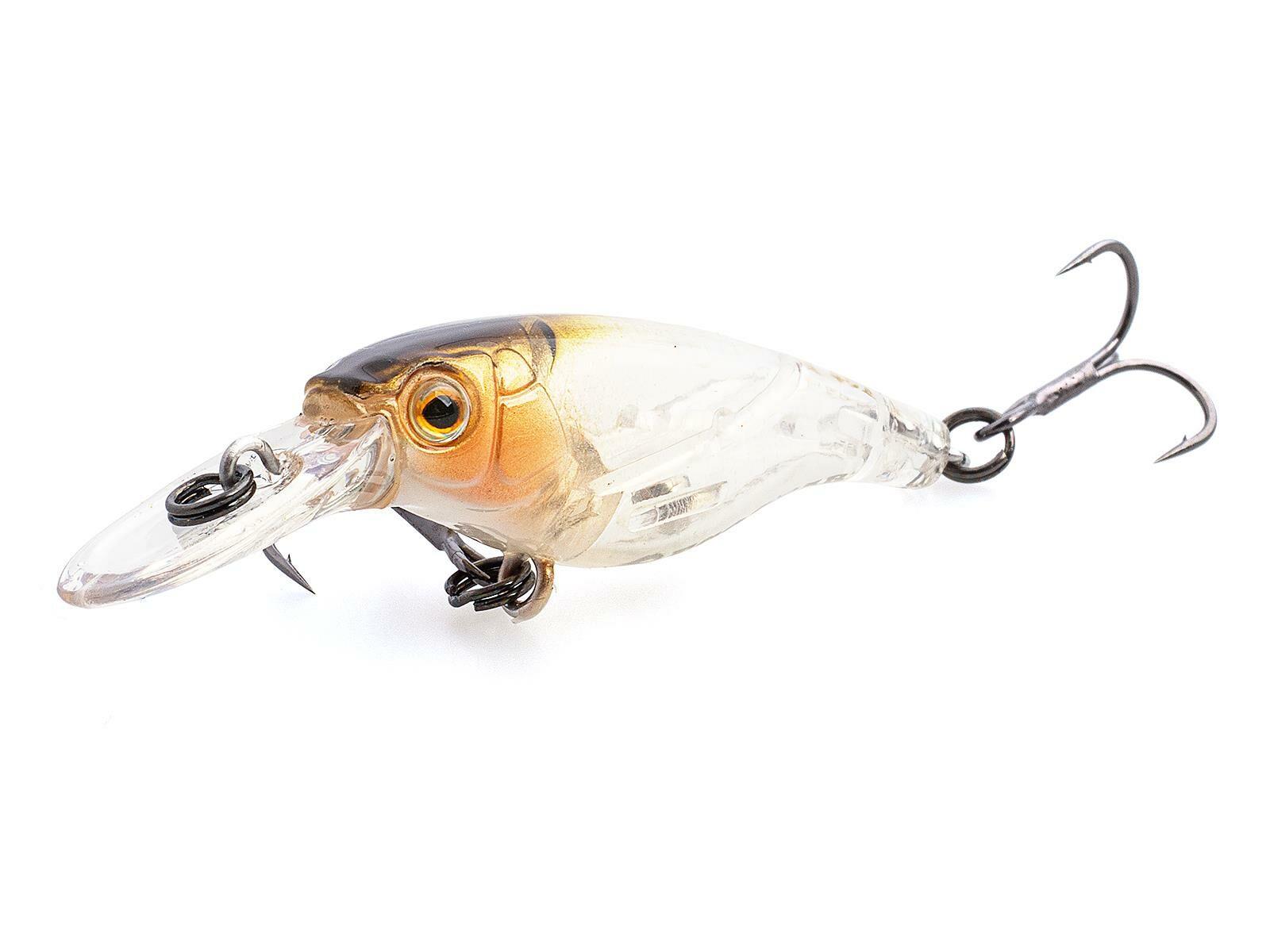 SX 40LC (369) Brown Shad