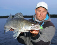 4&quot; Walleye Assassin