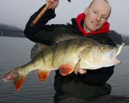 4&quot; Walleye Assassin