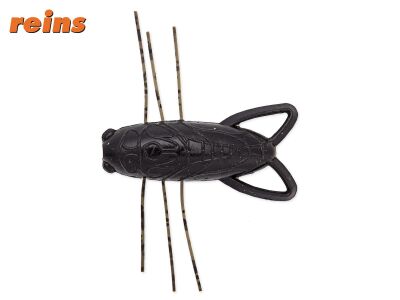 1.6 Insecter