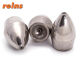 REINS Tungsten Slip Sinker - PLAIN 2.7g (6 Stk.)