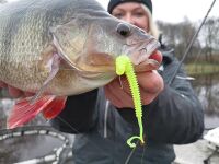 Worm5 Offset - Size 1