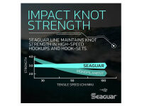 22,8 m SEAGUAR BLUE LABEL - 10 lb