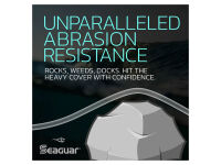 22,8 m SEAGUAR BLUE LABEL - 10 lb
