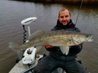 4" Hog Impact