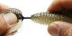 Rubber Jig Model III - Gold Flash Minnow 10.5g (3/8 oz.)