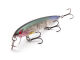 Laydown Minnow Regular