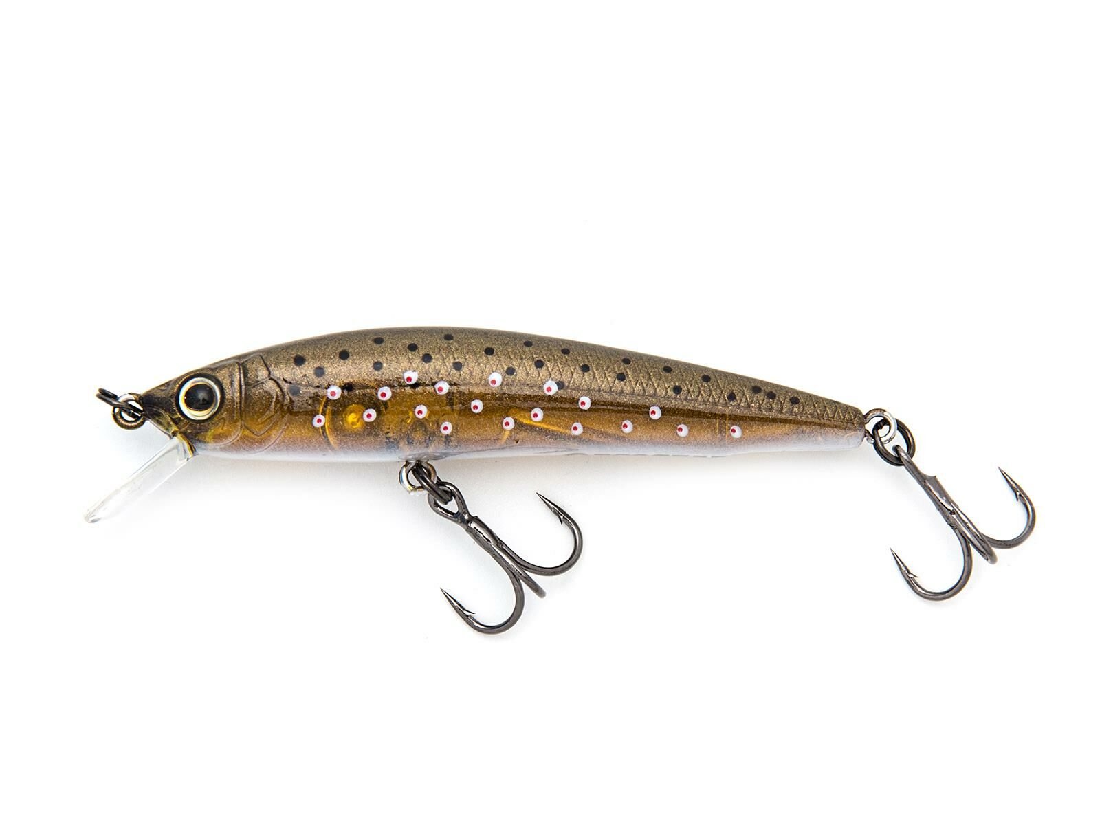 MW 62F (377) Real Trout