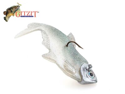 2.8 Dying Shad