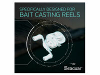 180 m SEAGUAR RED LABEL - 12 lb