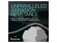 180 m SEAGUAR RED LABEL - 12 lb