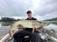 14g Project Z ChatterBait