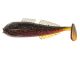4&quot; Goby Goby - Natural Shell