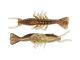3&quot; Scented ShrimpZ - Rootbeer Gold