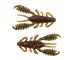 1.5&quot; Ring Craw Micro - Natural Shell