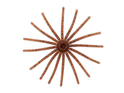 3" reins Radial Skirt (74 mm) - Miso Shrimp