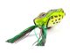 NORIES NF60 Frog