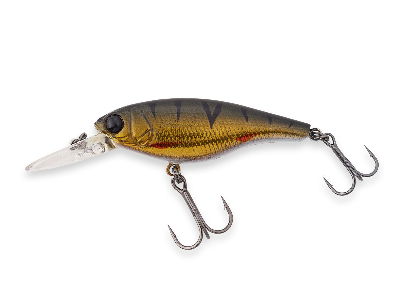 SX 48F (373) Olive Perch