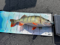 KEITECH Swing Swimmer