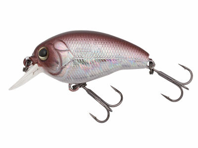 CK 40F07 (344) Reflect Brown Shad