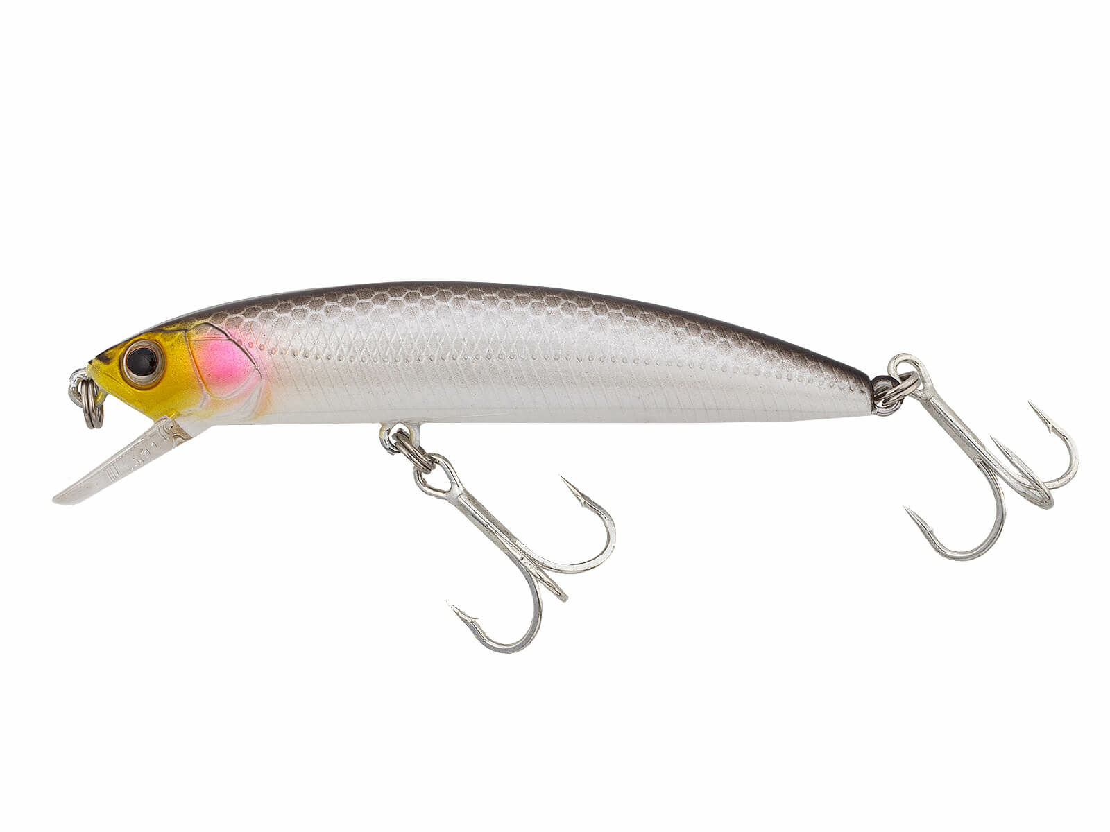 MW 70S (556) Black Shad