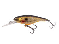 SX 60F (557) Gold Shad / Orange Belly