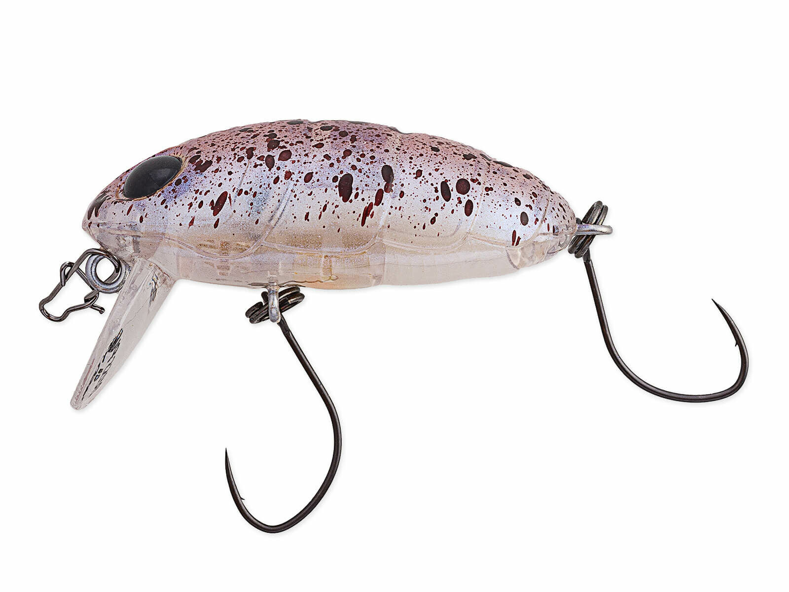 Crankin Boss Pupa Shallow (345) Gomafu Azarashi