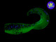 2&quot; Guppy GrubZ - Space Guppy