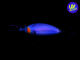 Worming Crank Shot (307) Citrus Shad