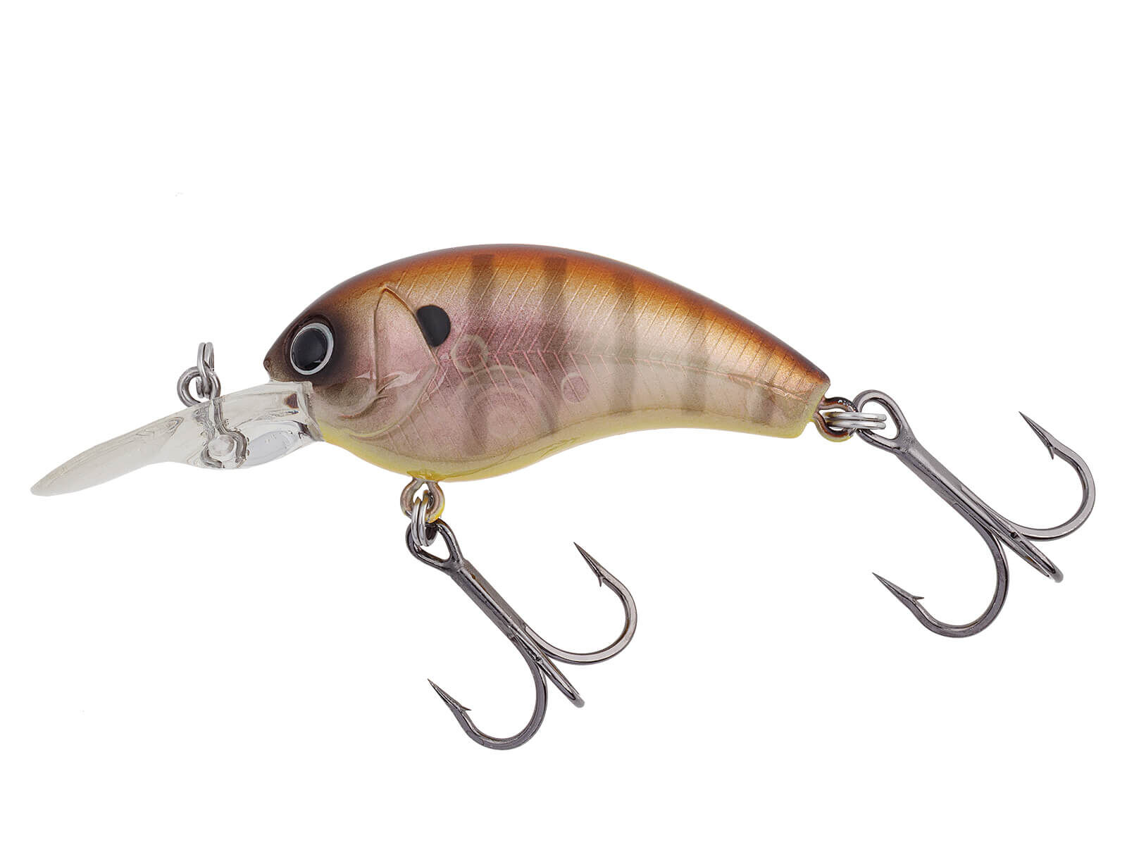 Worming Crank Shot (362) Low Light Brown Blue Gill