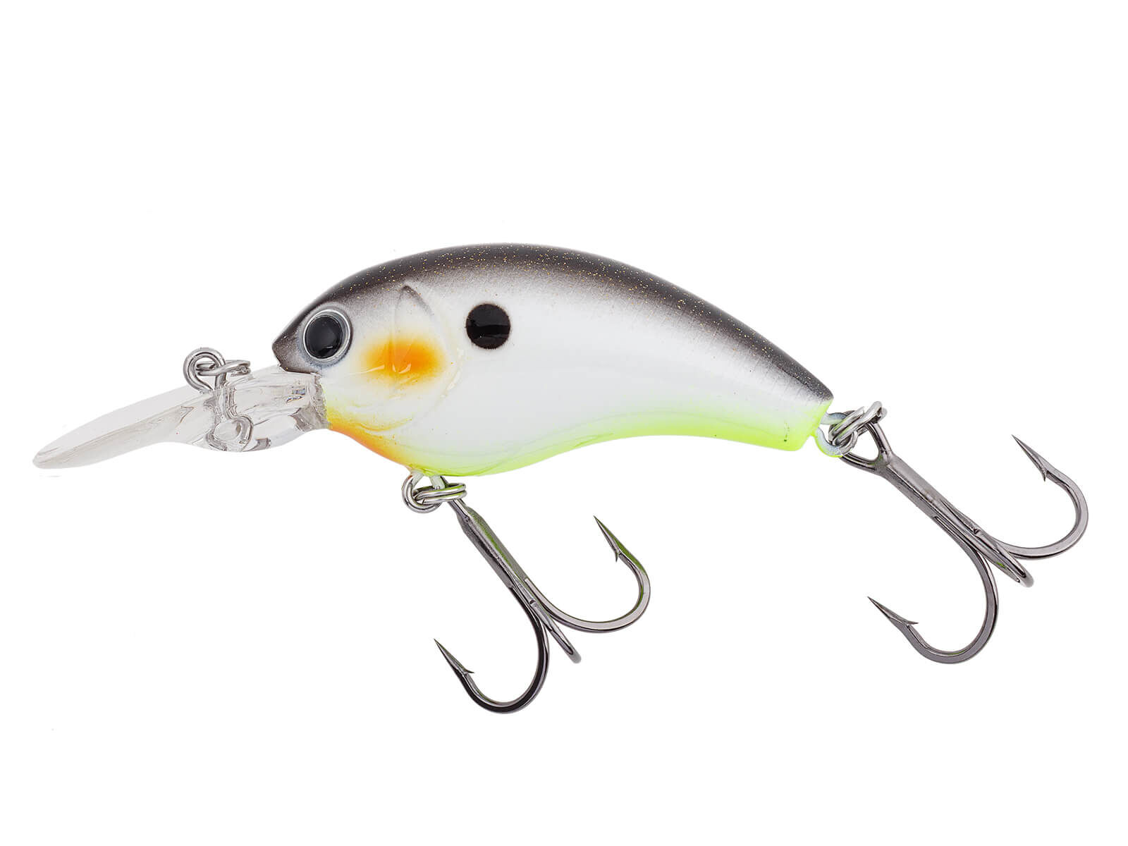 Worming Crank Shot (422) Decatur Shad