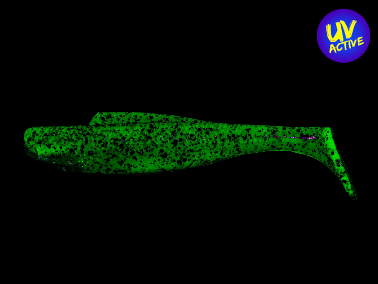 6" Diezel MinnowZ - Houdini