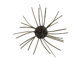 0.5" Fuzzy NuggetZ - Green Pumpkin Goby