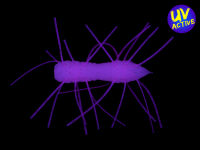 1.75" Fuzzy BugZ - Bubble Gum