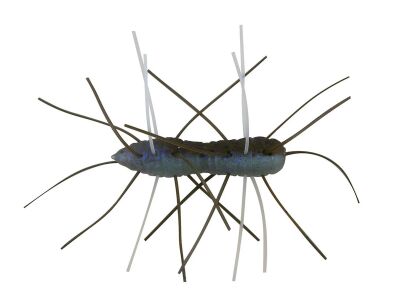 1.75" Fuzzy BugZ - The Deal