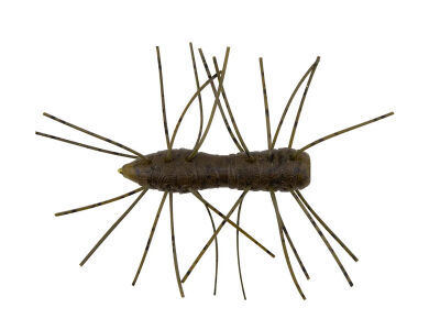 1.75" Fuzzy BugZ - Green Pumpkin