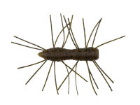 1.75&quot; Fuzzy BugZ - Green Pumpkin