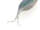4" Scope Shad (Yamamoto Baits)