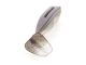 4.2" Shad Shape Swimmer (Yamamoto Baits)
