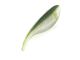 4" Fat Shad Shape Worm (Yamamoto Baits)
