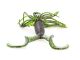 4" Double Tail Hula Grubs (Yamamoto Baits)