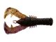 3 Yama Craw (Yamamoto Baits)