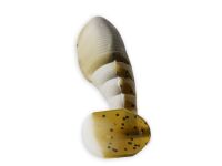 4" Paddle Tail Zako (Yamamoto Baits)