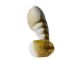 4" Paddle Tail Zako (Yamamoto Baits)