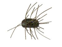 1.5 Fuzzy Nut (Yamamoto Baits)