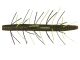 5 Fuzzy Senko (Yamamoto Baits)