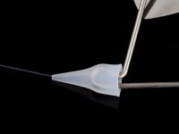 Bass Puzzle - Knot Cap